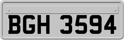 BGH3594