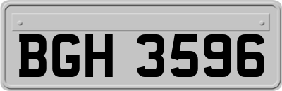 BGH3596