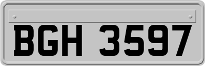 BGH3597