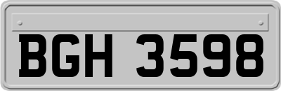 BGH3598