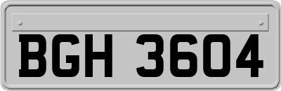 BGH3604