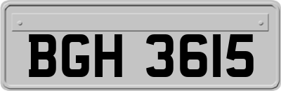 BGH3615