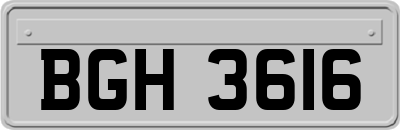 BGH3616