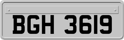 BGH3619