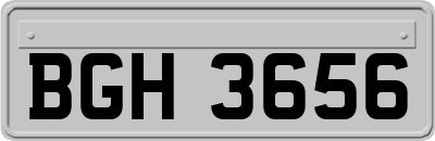 BGH3656