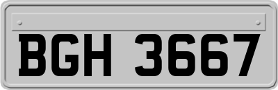 BGH3667