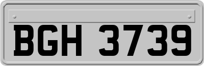 BGH3739