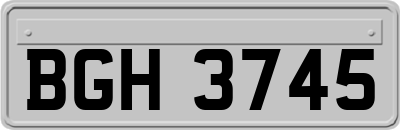 BGH3745