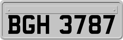 BGH3787