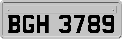 BGH3789
