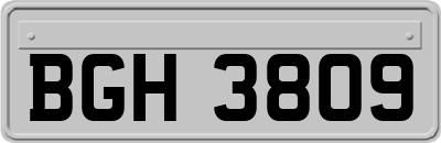 BGH3809