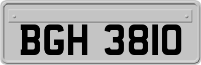 BGH3810