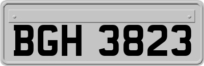 BGH3823