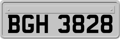 BGH3828