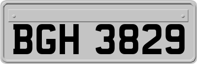 BGH3829