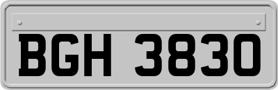 BGH3830
