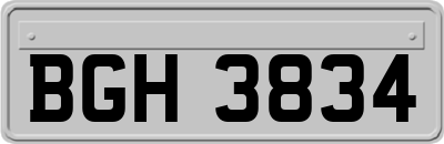 BGH3834