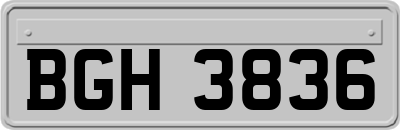 BGH3836