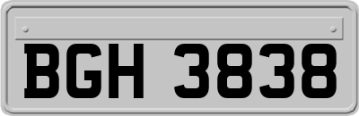 BGH3838