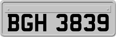 BGH3839