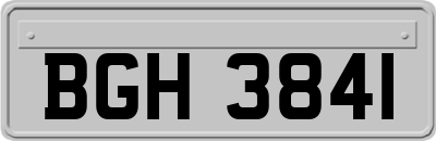BGH3841