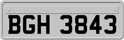 BGH3843