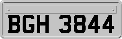 BGH3844