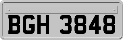 BGH3848