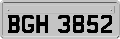 BGH3852