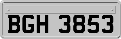 BGH3853