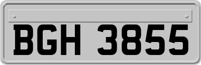 BGH3855
