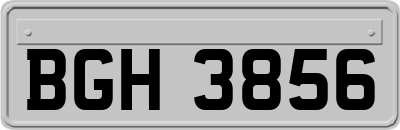 BGH3856