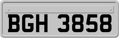 BGH3858