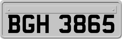 BGH3865
