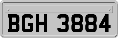 BGH3884