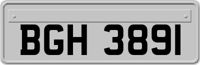 BGH3891