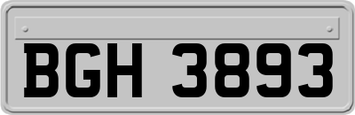 BGH3893