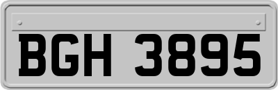 BGH3895