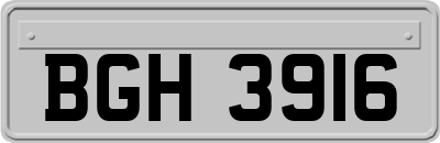 BGH3916