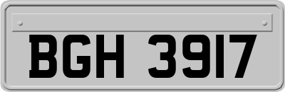 BGH3917