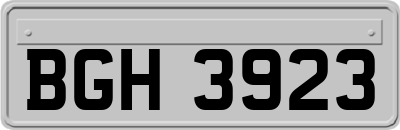 BGH3923
