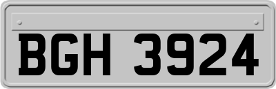 BGH3924