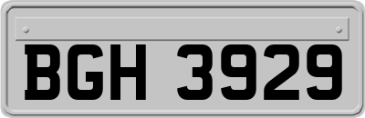 BGH3929