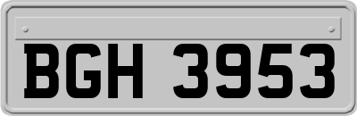 BGH3953