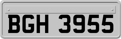 BGH3955