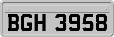 BGH3958