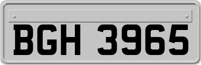 BGH3965