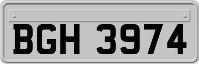 BGH3974