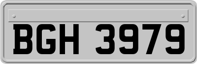BGH3979