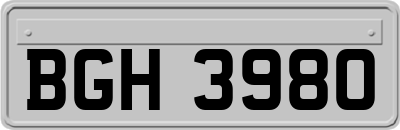 BGH3980